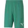 Herren Puma Shorts | Puma Shorts Teamrise Grun-Weis