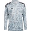 Kinder Adidas Torwarttrikots | Adidas Kinder Langarm Torwartttrikot Condivo 22 Grau